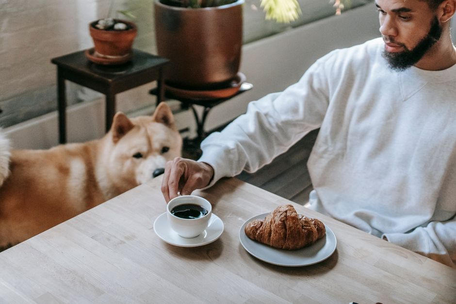 犬のうんちが臭い…フードの見直しで改善できる？原因と選び方
